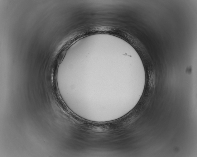 X0000112790731200909181513