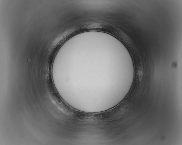 X0000112790732200909181513