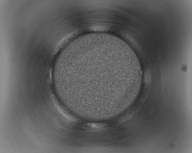 X0000112790733200909181513