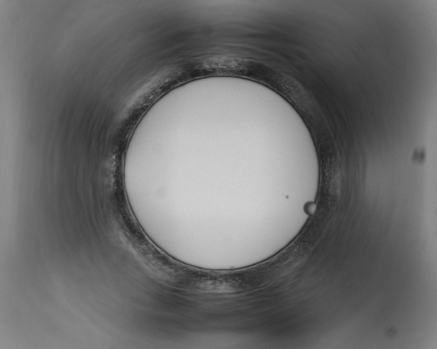 X0000112790735200909181513