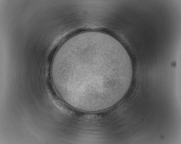 X0000112790736200909181513