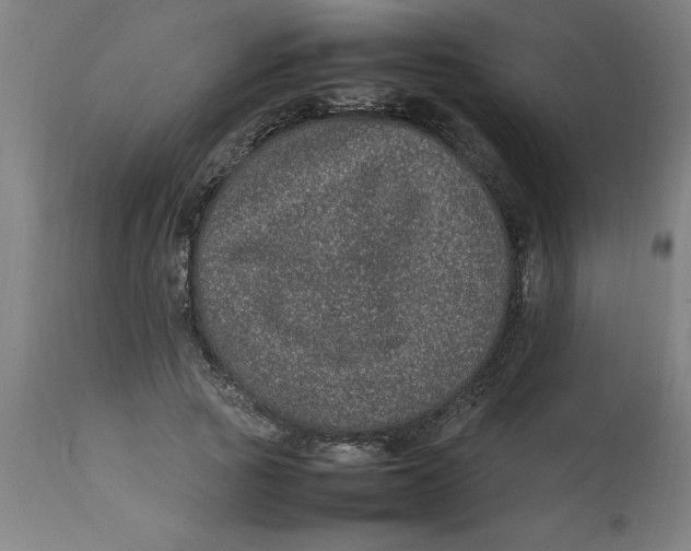 X0000112790737200909181513