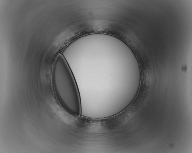 X0000112790740200909181513