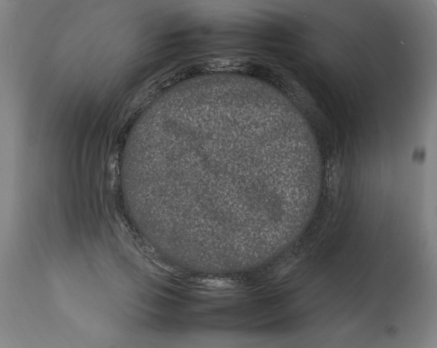 X0000112790741200909181513