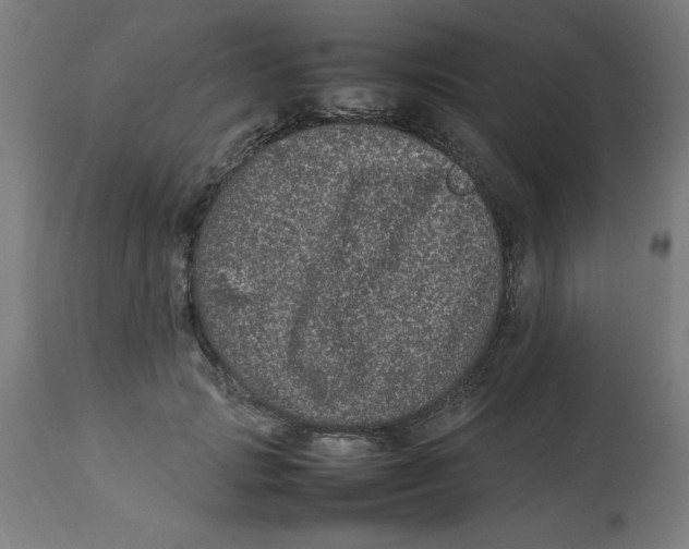 X0000112790749200909181513