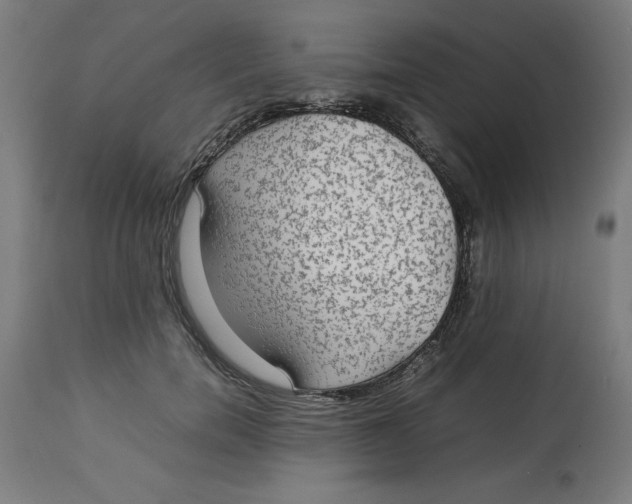 X0000112790750200909181513