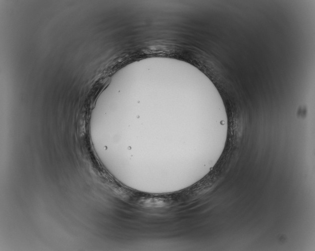 X0000112790751200909181513