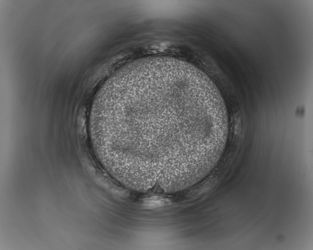 X0000112790754200909181513