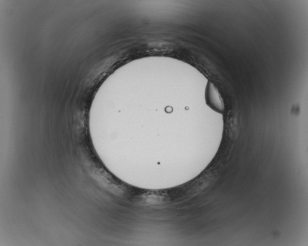 X0000112790756200909181513