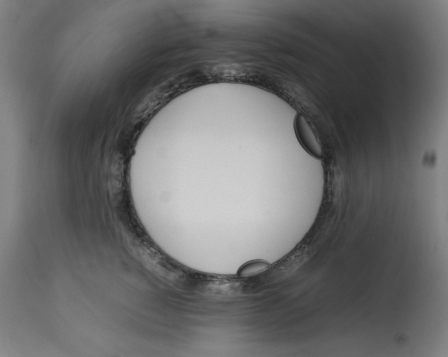 X0000112790760200909181514