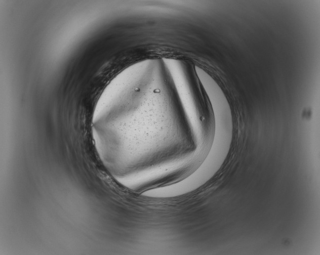 X0000112790762200909181514