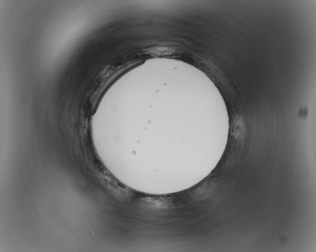 X0000112790763200909181514