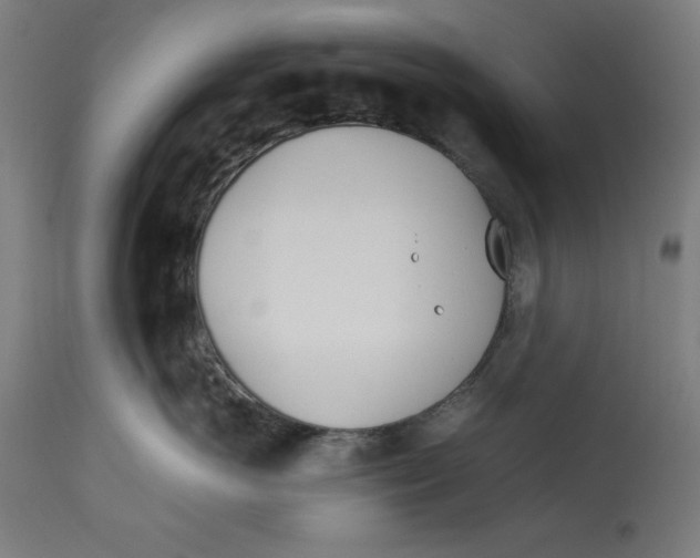 X0000112790766200909181514