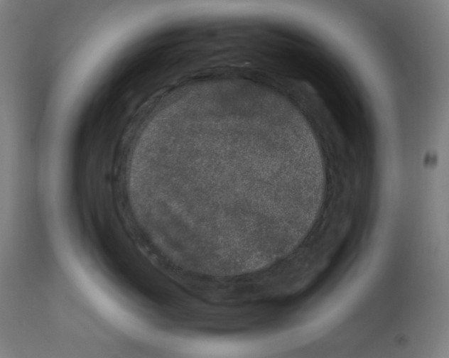 X0000112790767200909181514