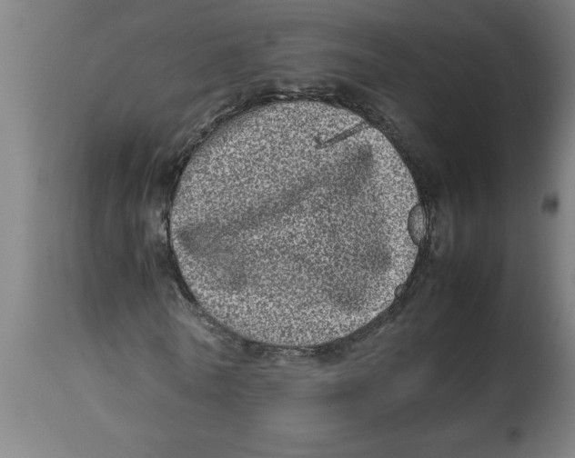 X0000112790770200909181513