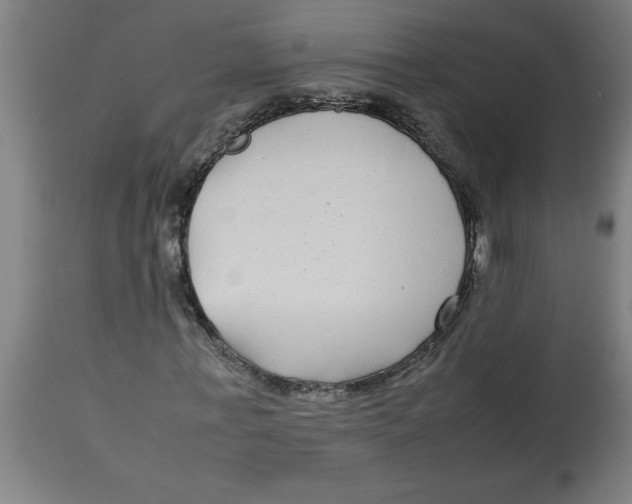 X0000112790771200909181513