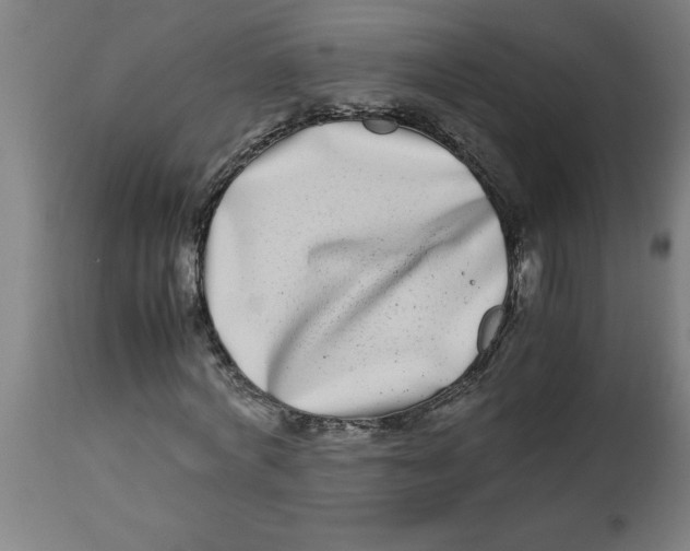 X0000112790772200909181513