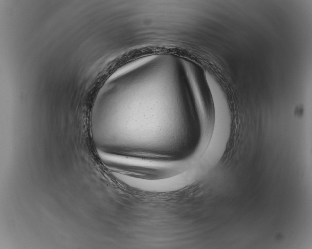 X0000112790773200909181513