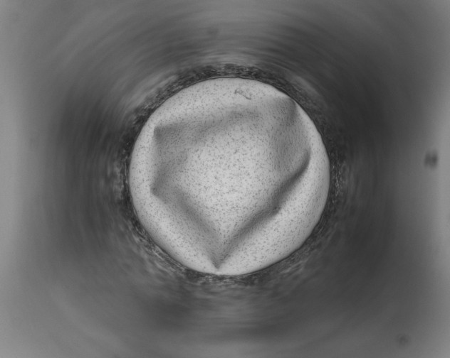 X0000112790774200909181513