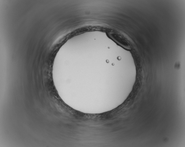 X0000112790775200909181513