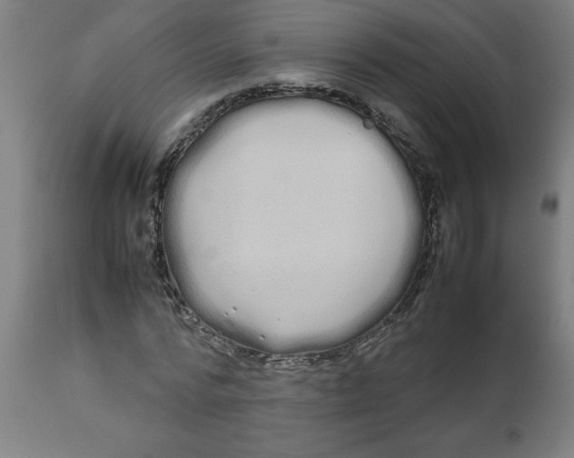 X0000112790776200909181513