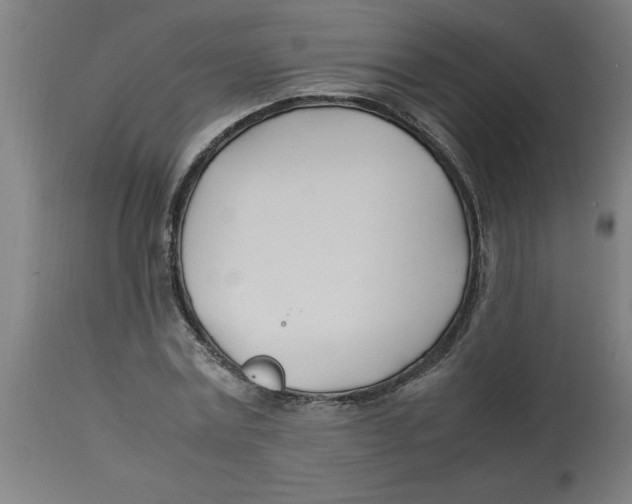 X0000112790779200909181513