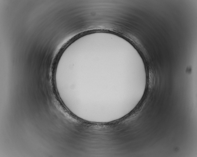 X0000112790780200909181513