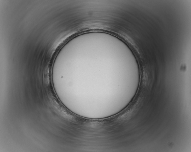 X0000112790782200909181513