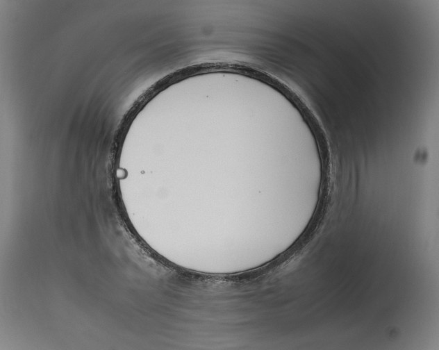 X0000112790783200909181513