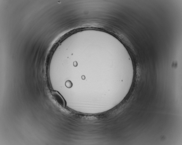 X0000112790784200909181513