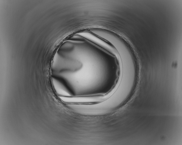 X0000112790785200909181513