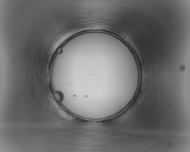 X0000112790789200909181513