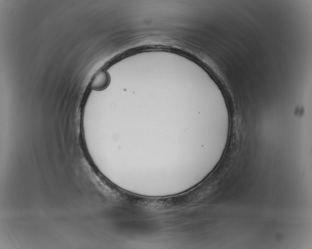 X0000112790791200909181513