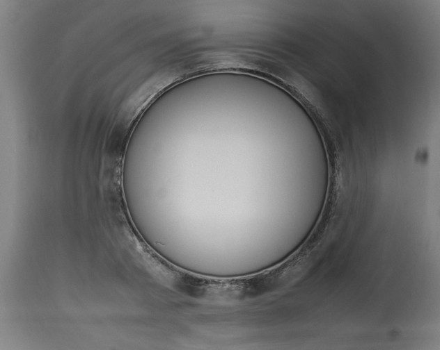 X0000112790793200909181513