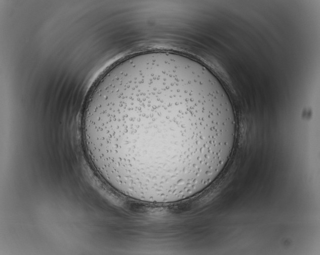 X0000112790798200909181513