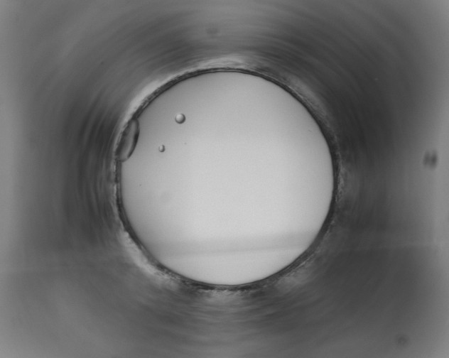 X0000112790800200909181513