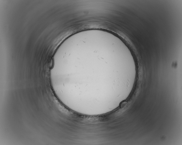 X0000112790801200909181513