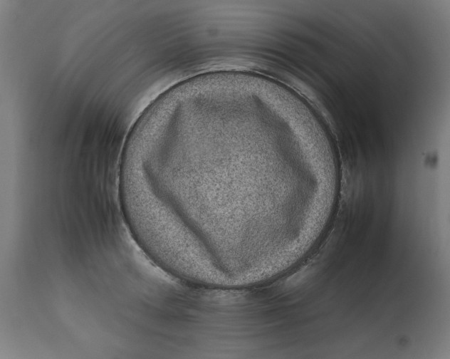 X0000112790802200909181513