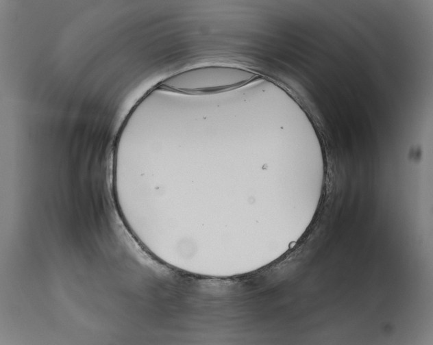 X0000112790804200909181512