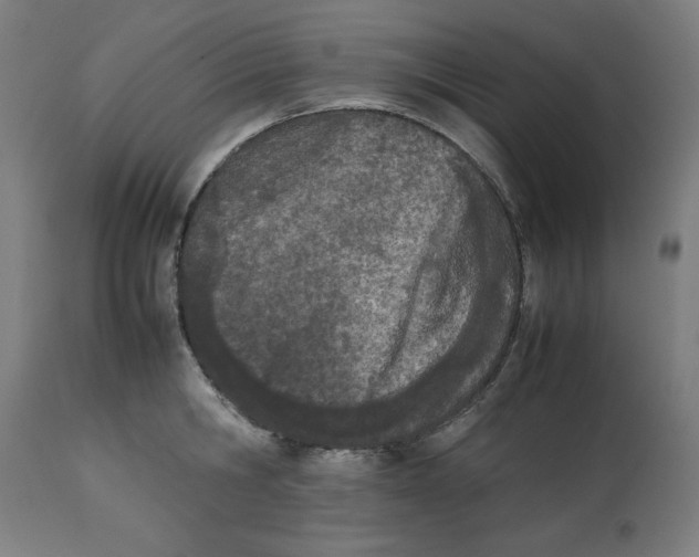 X0000112790806200909181512