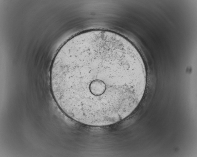 X0000112790807200909181512