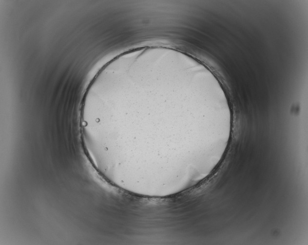 X0000112790808200909181512