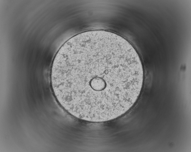 X0000112790810200909181512