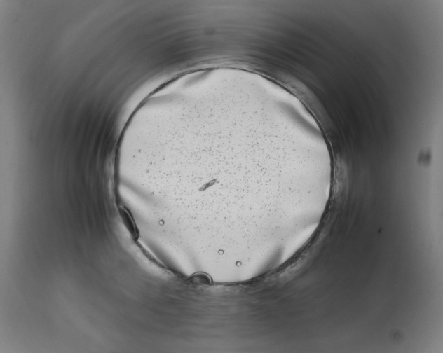 X0000112790812200909181512