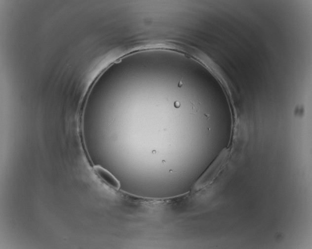 X0000112790813200909181512