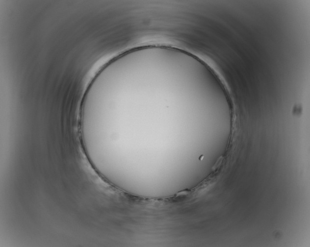 X0000112790815200909181512