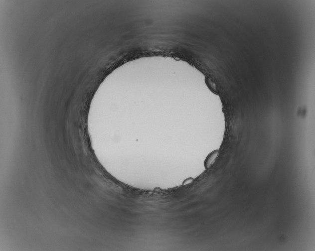 X0000112790817200909181511