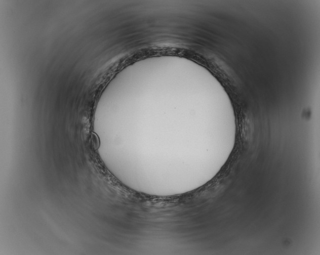 X0000112790821200909181512