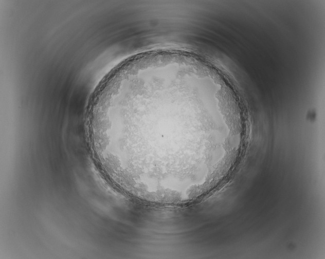 X0000112790828200909181512