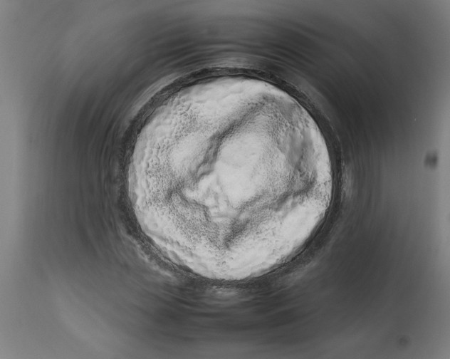 X0000112790829200909181512